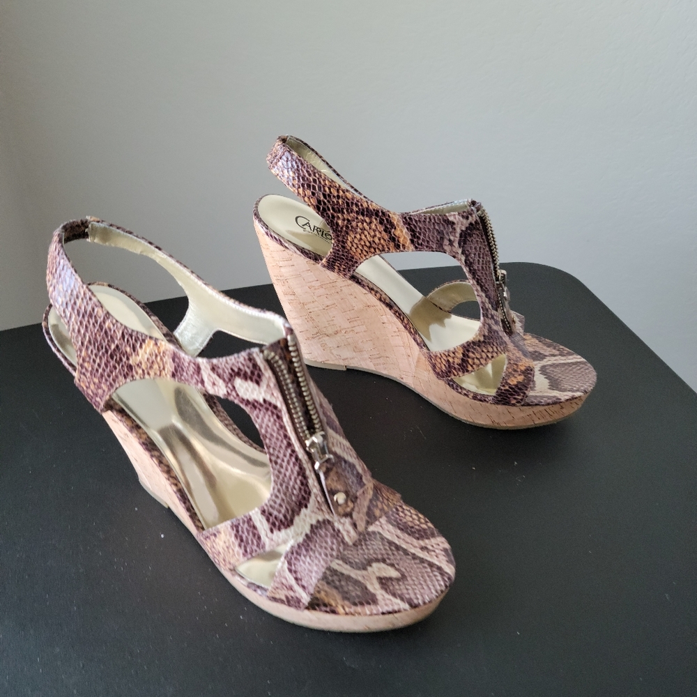 Carlos Santana , 9.5 brown snake print clogs